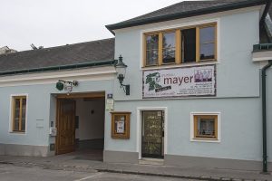 Weinbau Mayer - Perchtoldsdorf