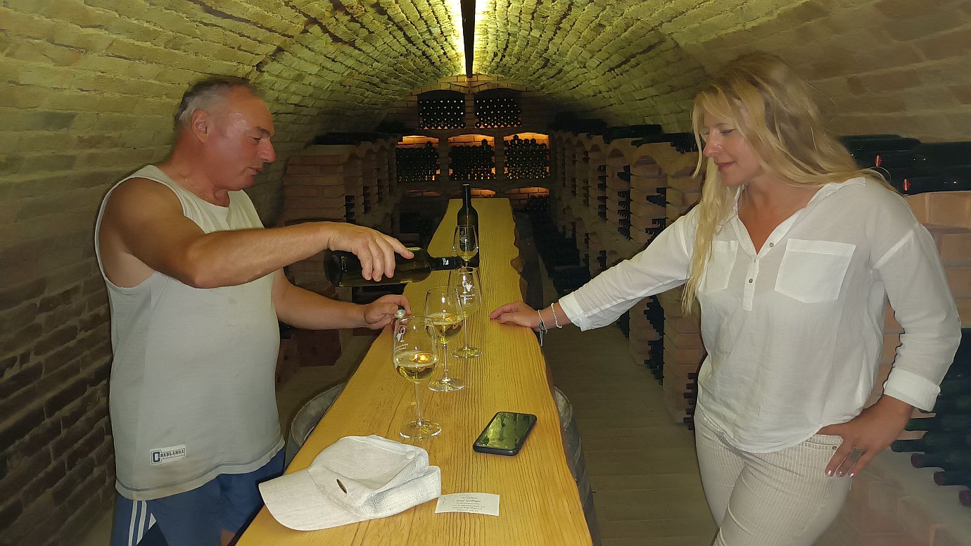Weinbau Gerlinger lädt zur Offenen Kellertür auf den Galgenberg